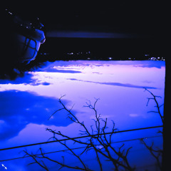 whydidyouhardenyourself