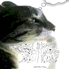 having an identity crisis mid vc