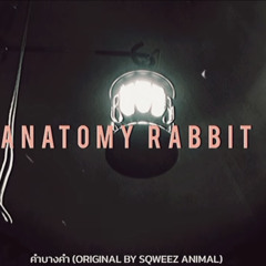 คำบางคำ(Original By Sqweez Animal) - ANATOMY RABBIT [Unofficial Audio]