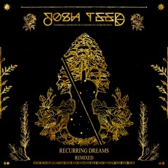 Josh Teed - Recurring Dreams (Sharlitz Web Remix)