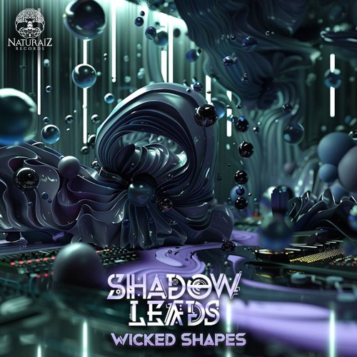 Shadow Leads - Inner Shadows