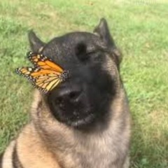 Unsatisfying conclusion