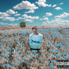 Notice (feat. Thouxanbanfauni)