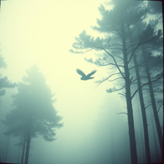 Paper Wings