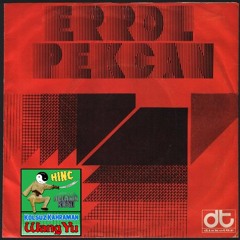 Errol Pekcan Orkestrası - Gel Sevgilim (Wang Yu Mix)