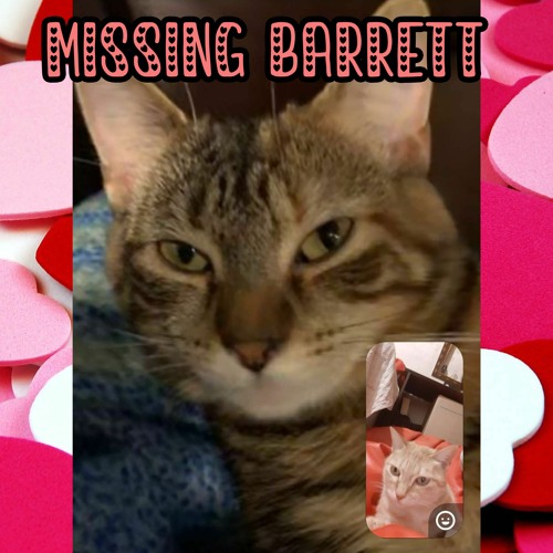missing barrett 💔🖤😿