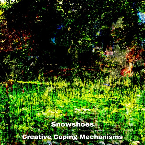 Stream Snowshoes Listen To Creative Coping Mechanisms Playlist Online