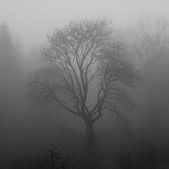 Fate's Lament (instrumental)