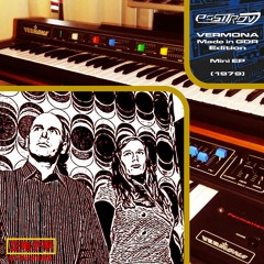 Being Dumb (Vermona Version) Snippet