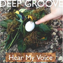 HearMyVoice(DeepGroove)