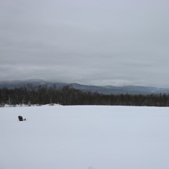 How To Face Grief For Destruction - Q&A with Soryu Forall