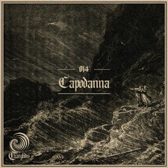 Circulating Waves #014 - Capodanna