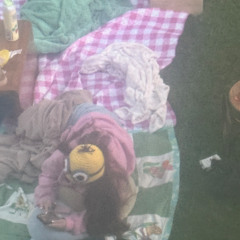 A cool song about a girl I wanna marry