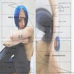 VOLVM 2. interpretations