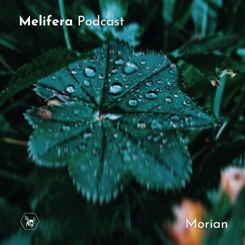 Melifera Podcast ⬢ Morian