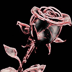 ROSE 🥀
