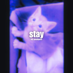 stay