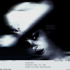 Charli xcx - Forever (Transfixed in the Dibé Nitsaa Mountain Mix)