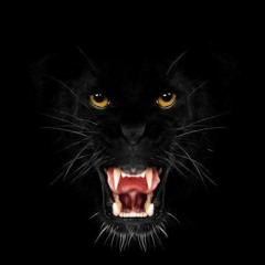 The Myth of the Cat People (PM Edit 2.0)