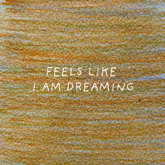 The Chemical Brothers - Feels Like I Am Dreaming (Agustin Ficarra Remix)