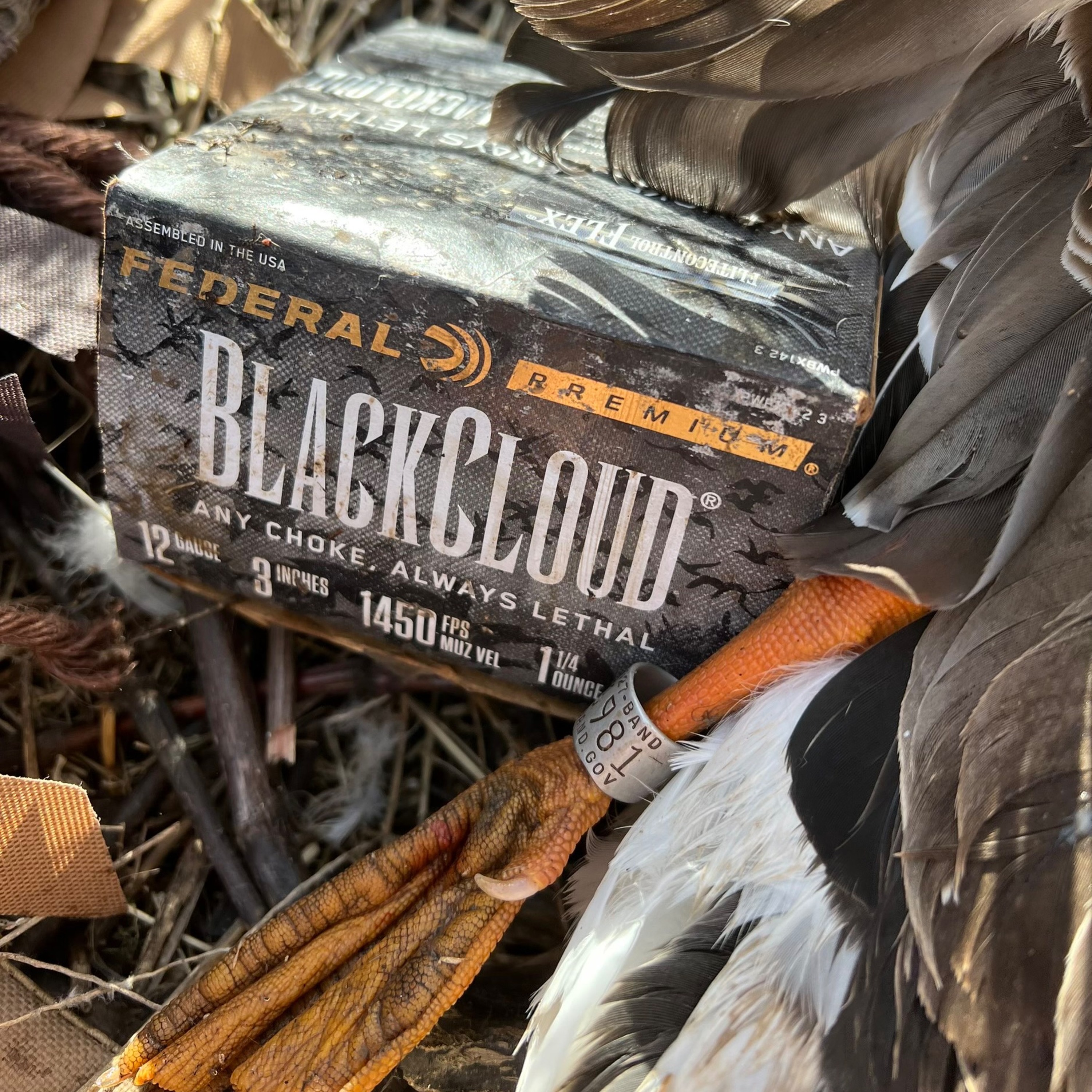 The Fowl Life