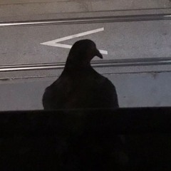 Weird Dream (with Camille Bleker)