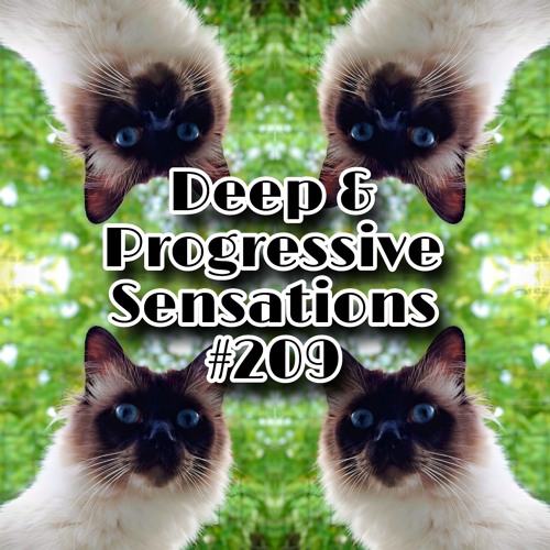 Deep & Progressive Sensations #209 | Balcony Catz (Prog & Tech House)