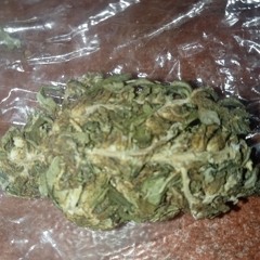 5olo.mp3 🔥🍁✂️