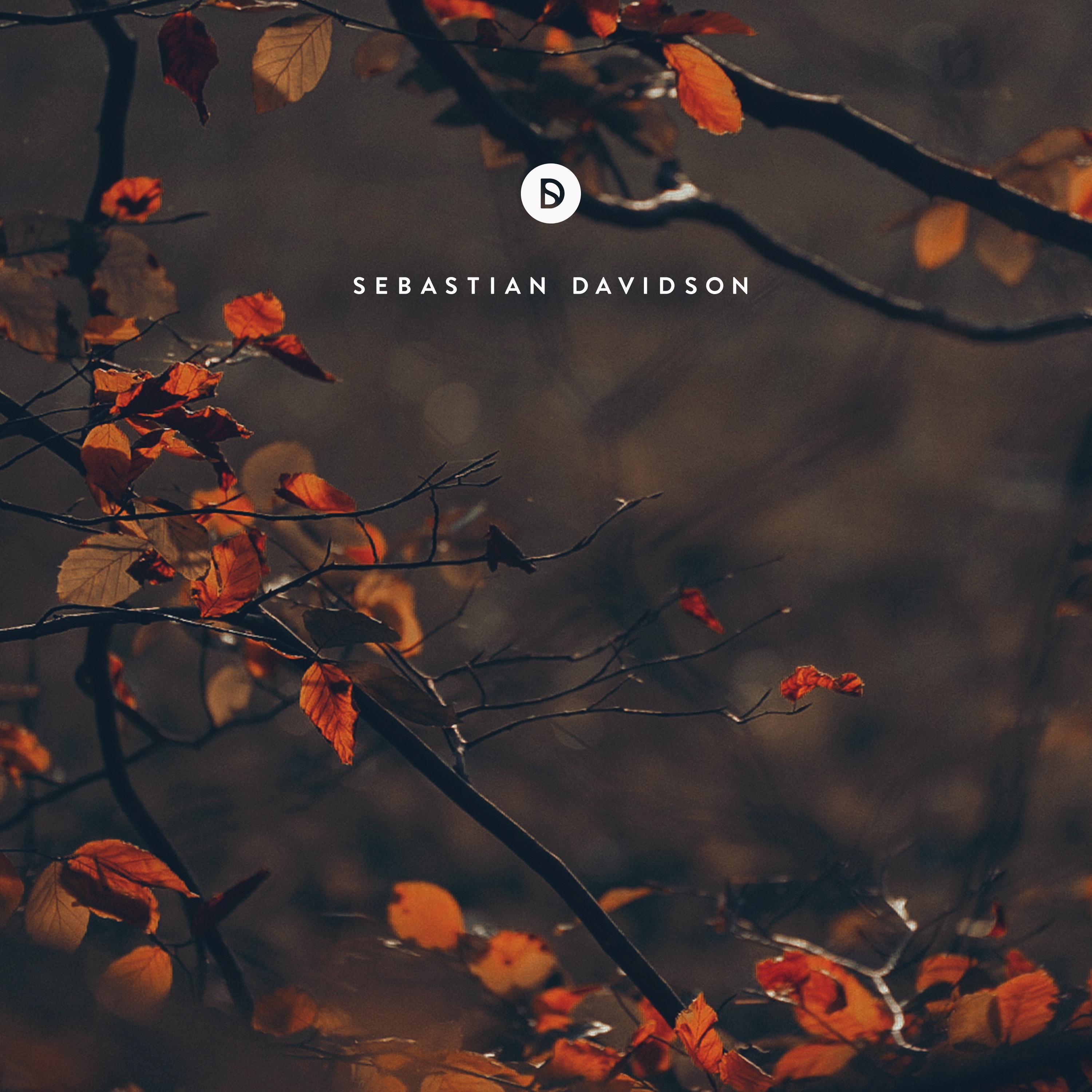 Voyage of Discovery by Sebastian Davidson