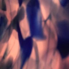GicBrk