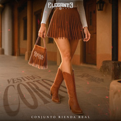 Vestido Corto