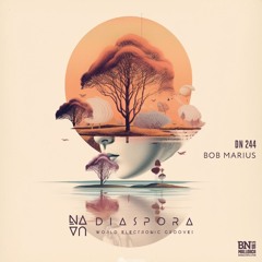 World Electronic Grooves DIASPORA #244 - Bob Marius - BN MALLORCA Radio