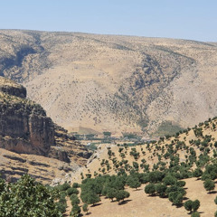 هيثم يوسف يردون 2012