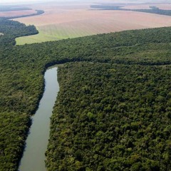Leandro Mello Frota fala sobre a importância de discutir sustentabilidade