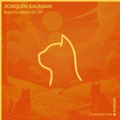 Joaquín Salmain - Baahrt [PURRFECTION]