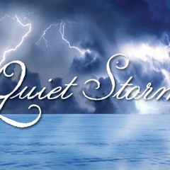 Quiet Storm #14