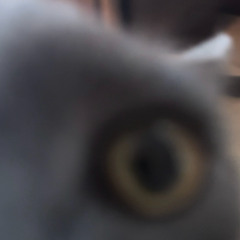 I Think You're a Star