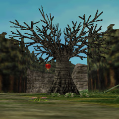 Road to Southern Swamp