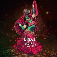 Choli Ke Peeche - Ranidu (Colombo Swag Remix)   Bollywood Remix