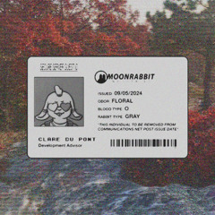 RABBIT RADIO: CLARE – FALL 2024