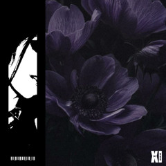 The Weeknd - Timeless [Angel Numbers Flip]