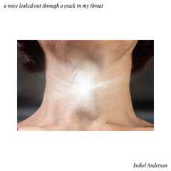 a voice leaked out through a crack in my throat