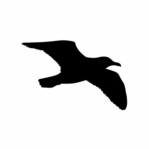 Mango Alley / 2020 YEAR CHART