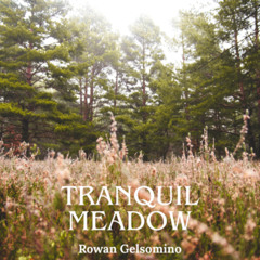 Tranquil Meadow