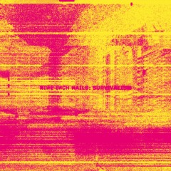 Nine Inch Nails - Survivalism (Head Like A PieHole Remix)