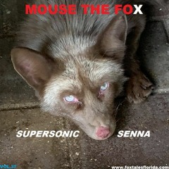 MOUSE THE FOX - SUPERSONIC SENNA - VOL.37 - 12.12.2021