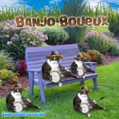 Banjo Boueux