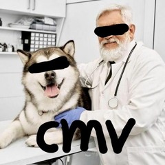 EKO X LIL MIELONKA - MASTERHULT