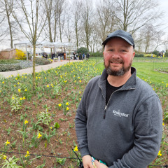 Keukenhof 2025: Changing career for tulips