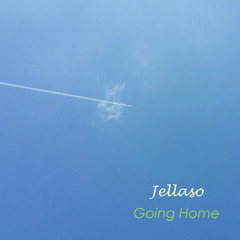 GOING HOME Master 44khz 24Bit 110425